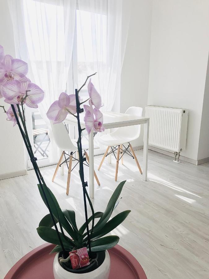Belvarosi Studio Apartman Kecskemet Bagian luar foto